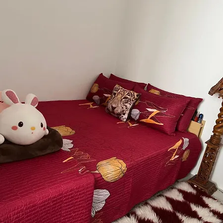 Mieda Rizqi Homestay Kampong Melayu Changkat Larah Exterior photo